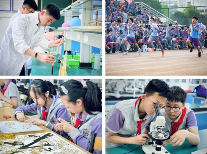 微信截图_20240605160215